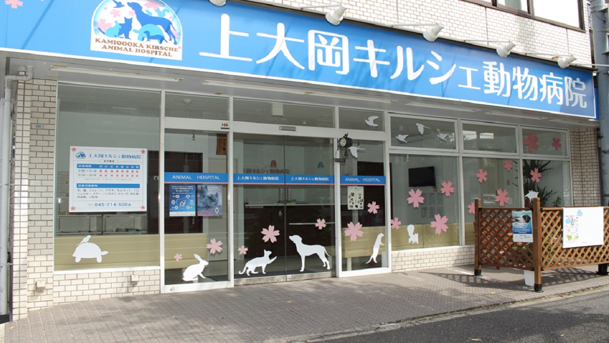 上大岡キルシェ動物病院
