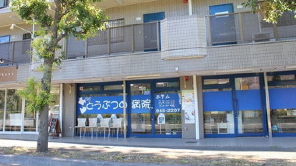 CMSどうぶつの病院