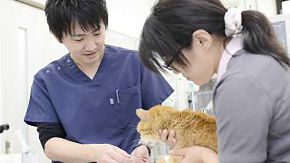 右京動物病院 HEALTH CARE CENTER
