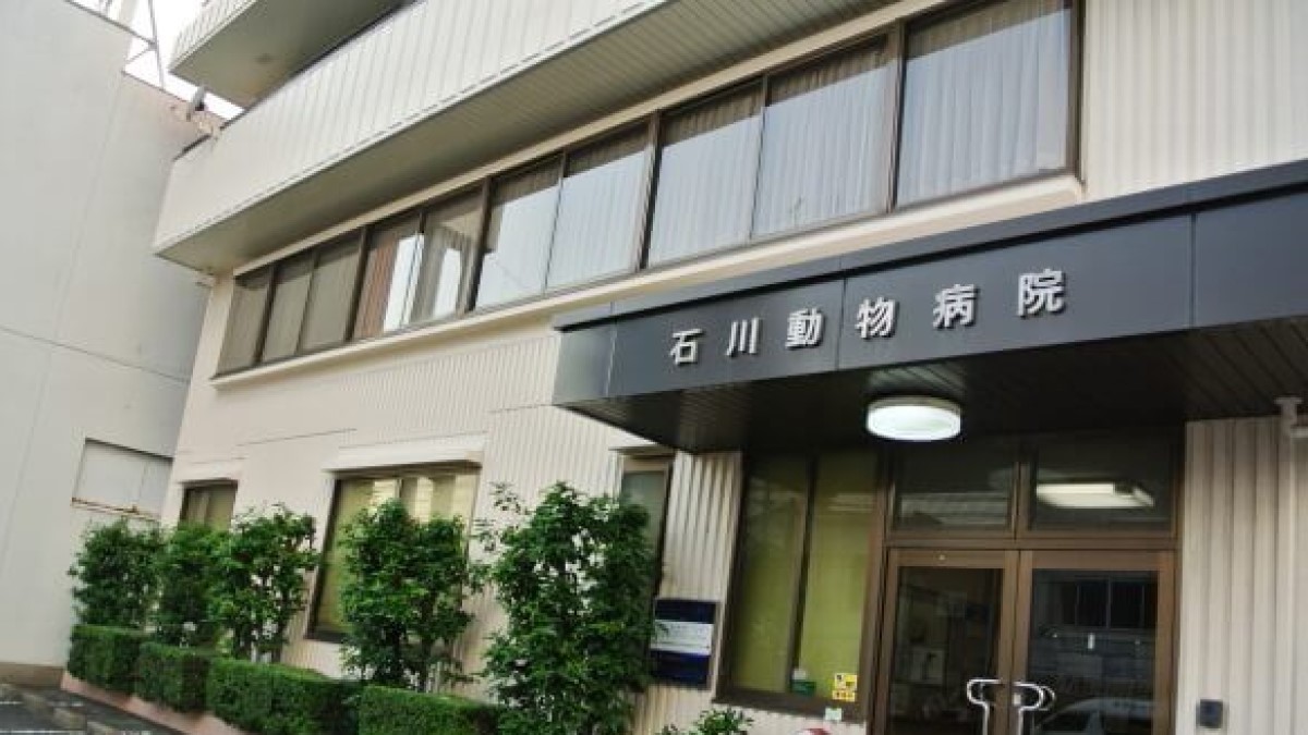 石川動物病院