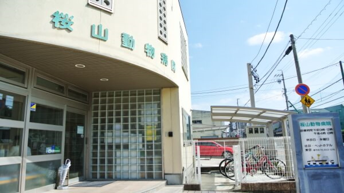 桜山動物病院
