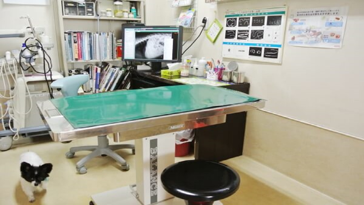 桜山動物病院