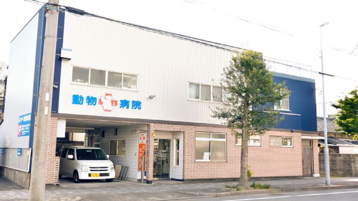あやべ動物病院