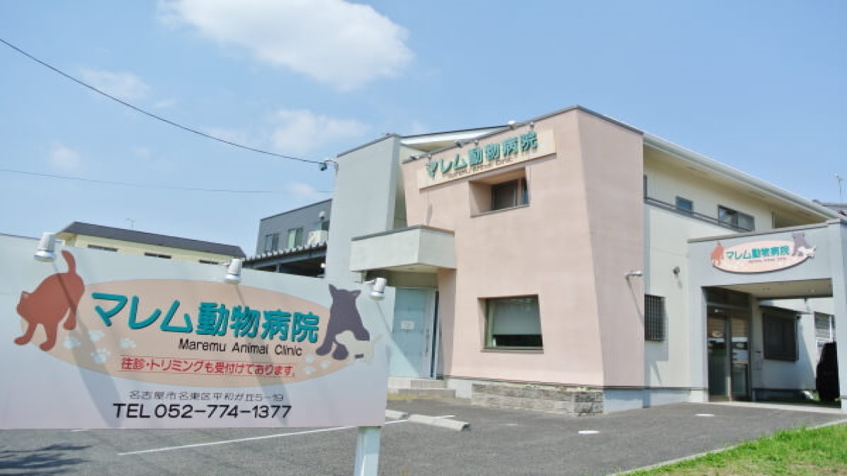 大下動物病院