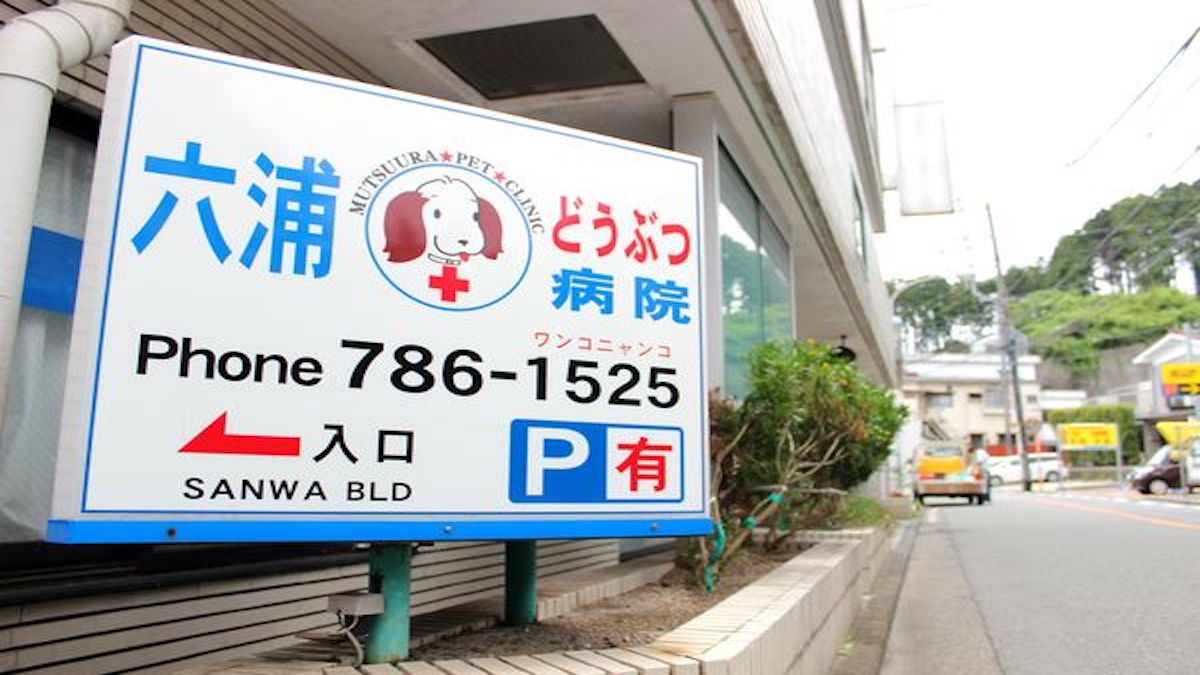 六浦動物病院