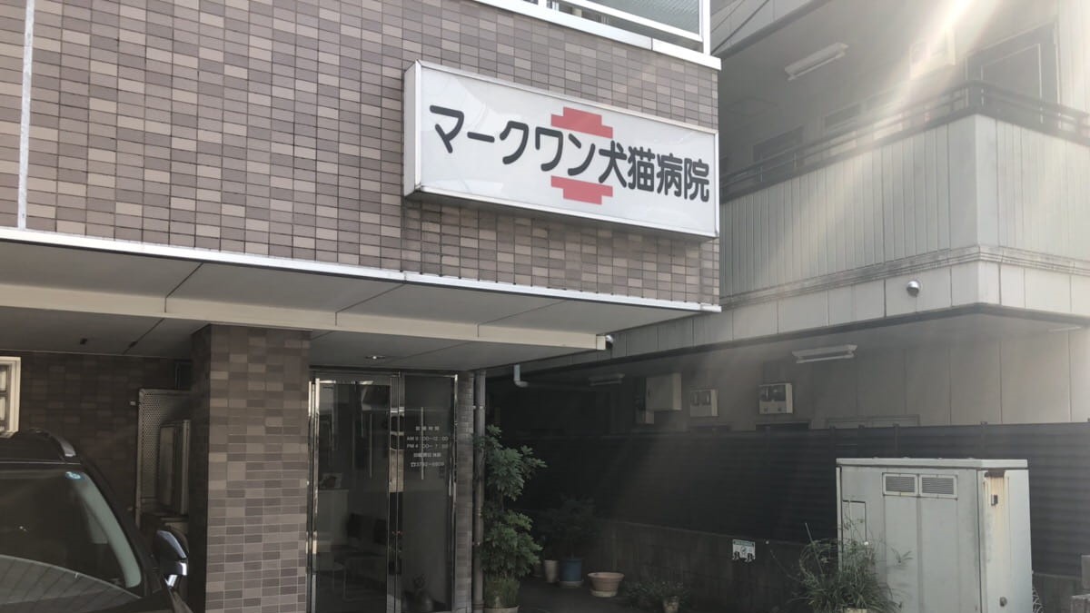 マークワン犬猫病院
