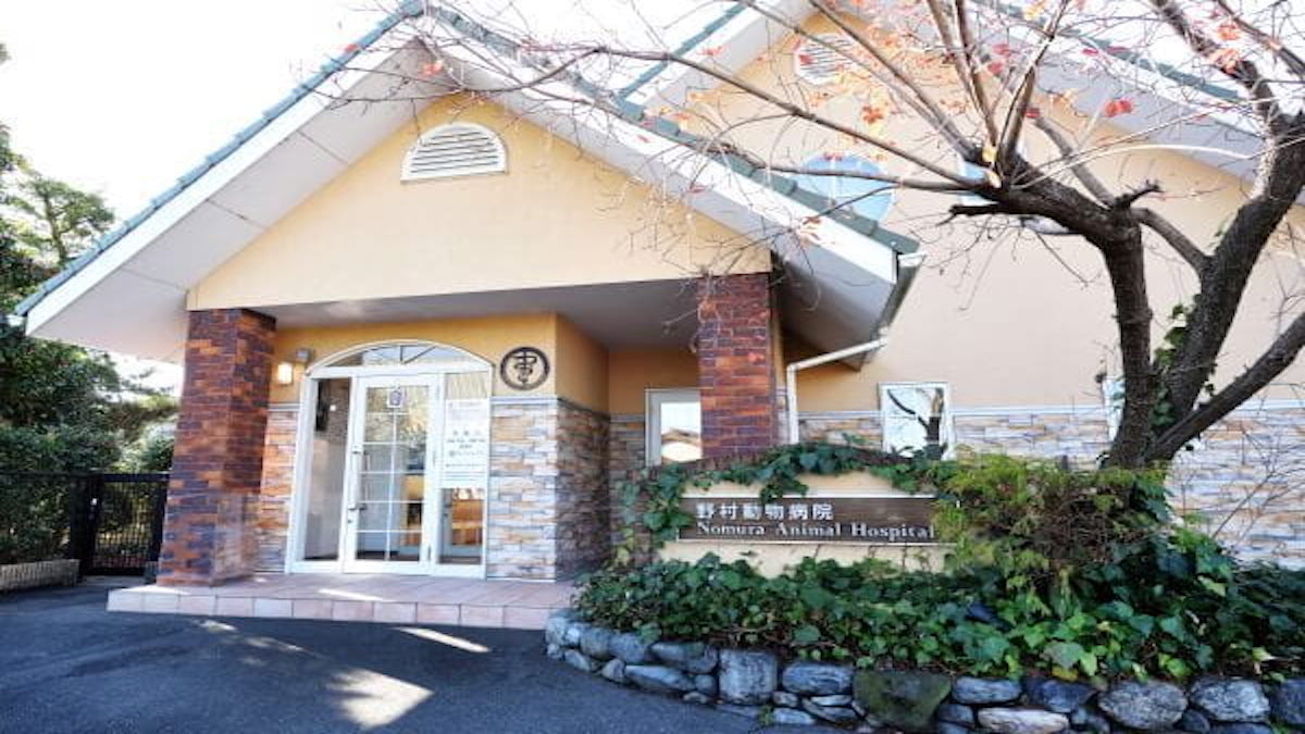野村動物病院