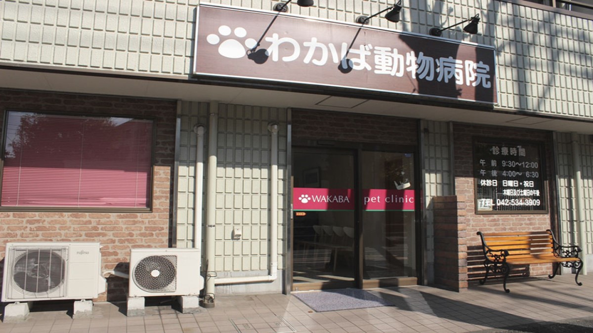 わかば動物病院