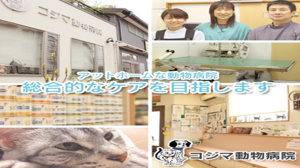 マインズ動物病院