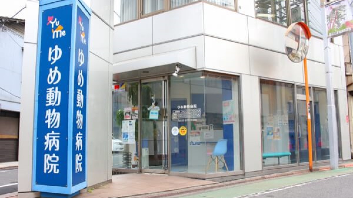 ゆめ動物病院