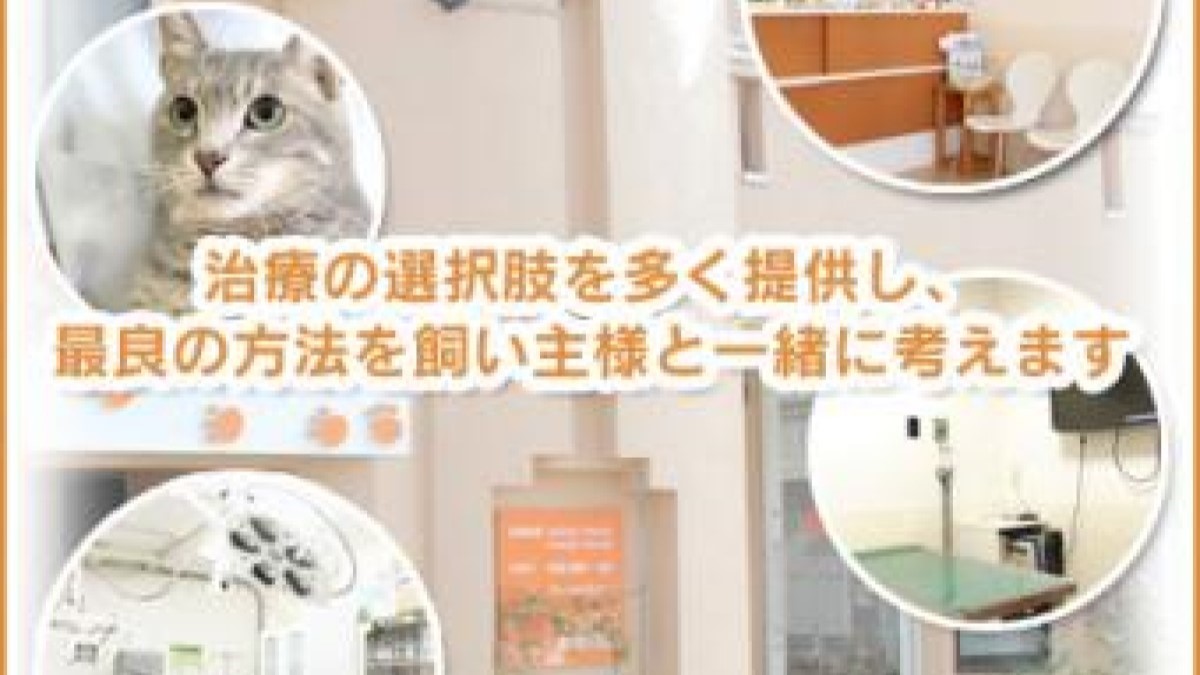 こんどう動物病院