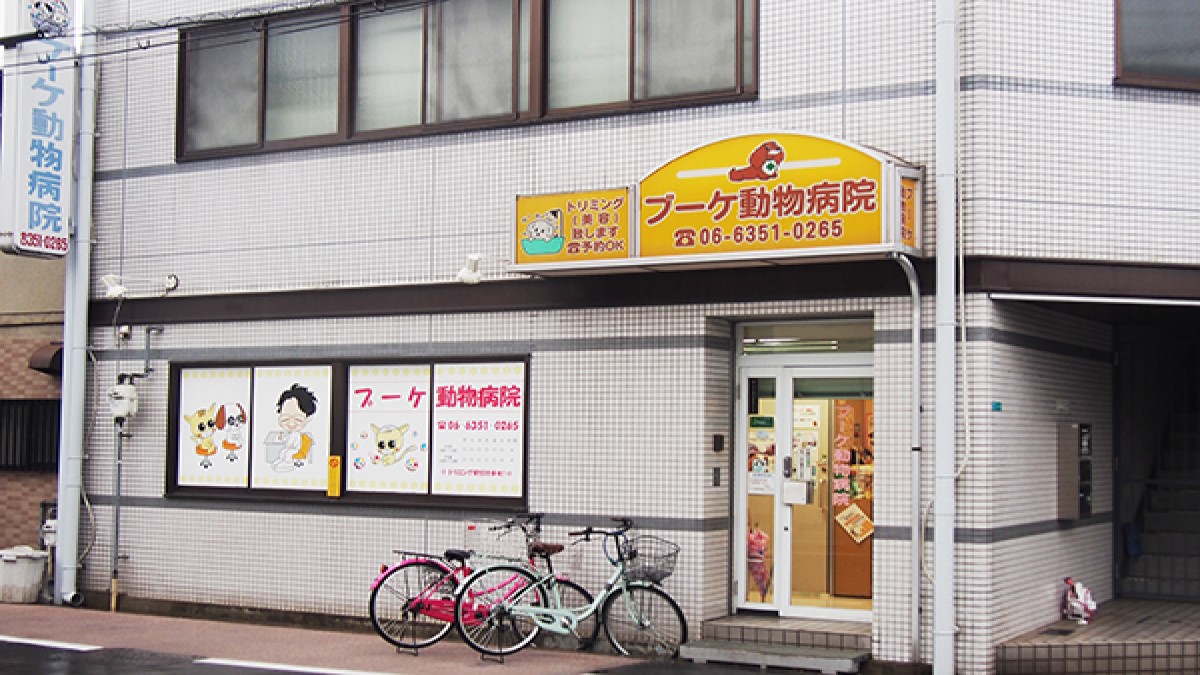 ブーケ動物病院