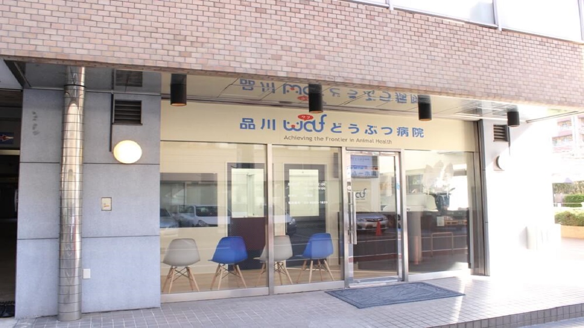 品川WAFどうぶつ病院