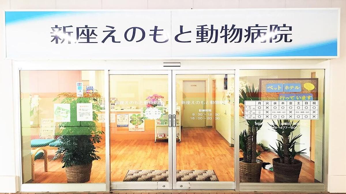 新座えのもと動物病院