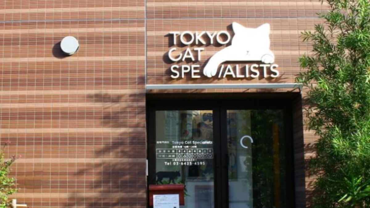 Tokyo Cat Specialists（トウキョウキャットスペシャリスト）
