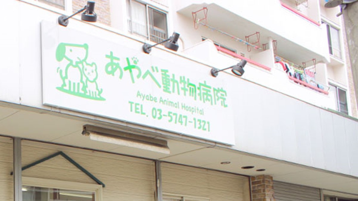 あやべ動物病院
