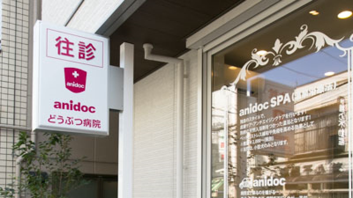 往診anidoc