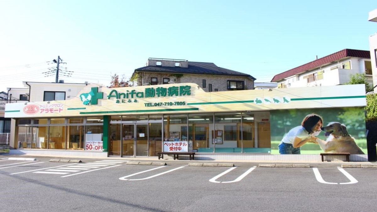 アニファ動物病院 松戸院