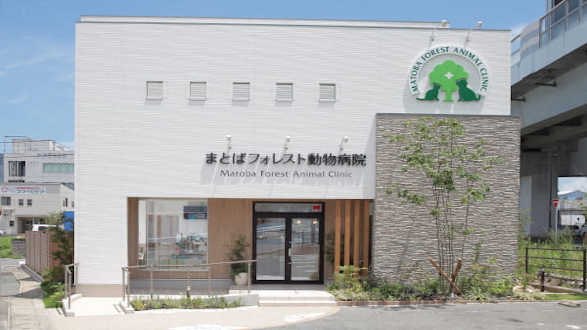 まとばフォレスト動物病院