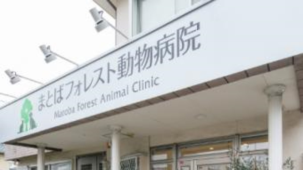 まとばフォレスト動物病院