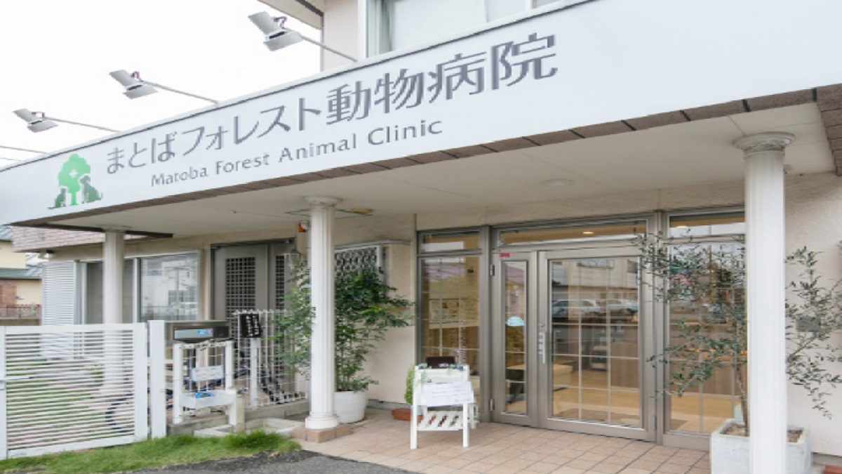 まとばフォレスト動物病院