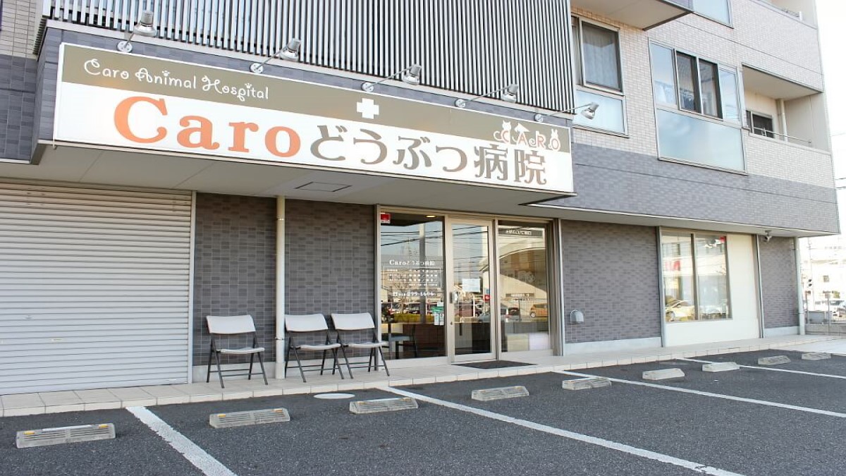 Caroどうぶつ病院