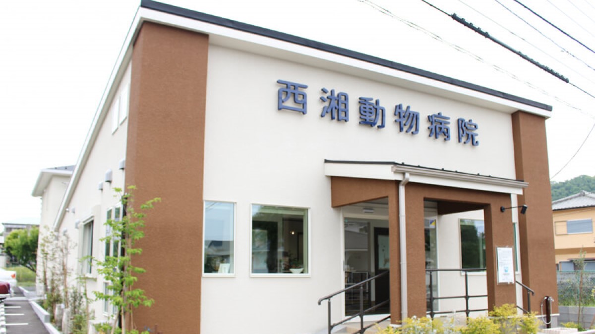 西湘動物病院