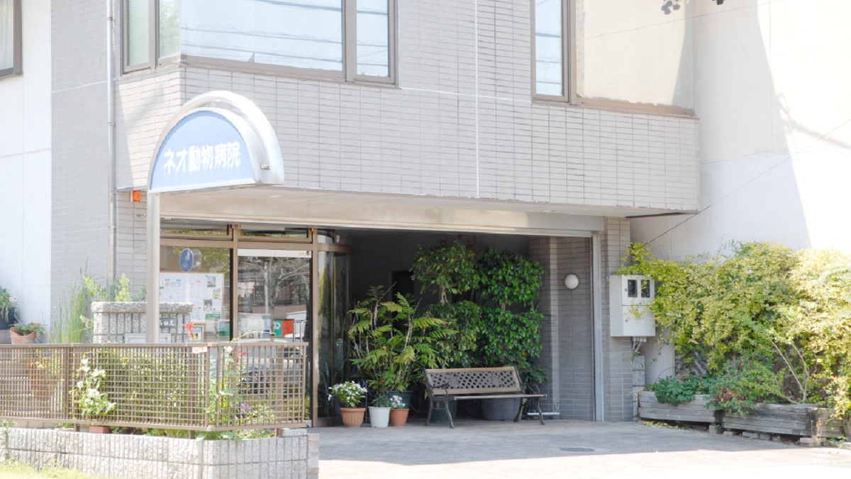 ネオ動物病院