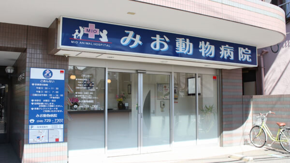 みお動物病院