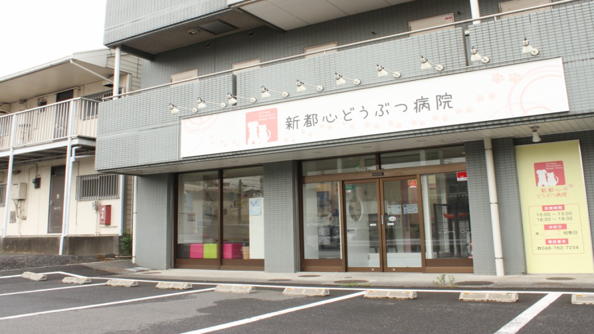 新都心どうぶつ病院