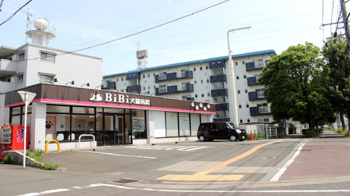 BiBi犬猫病院