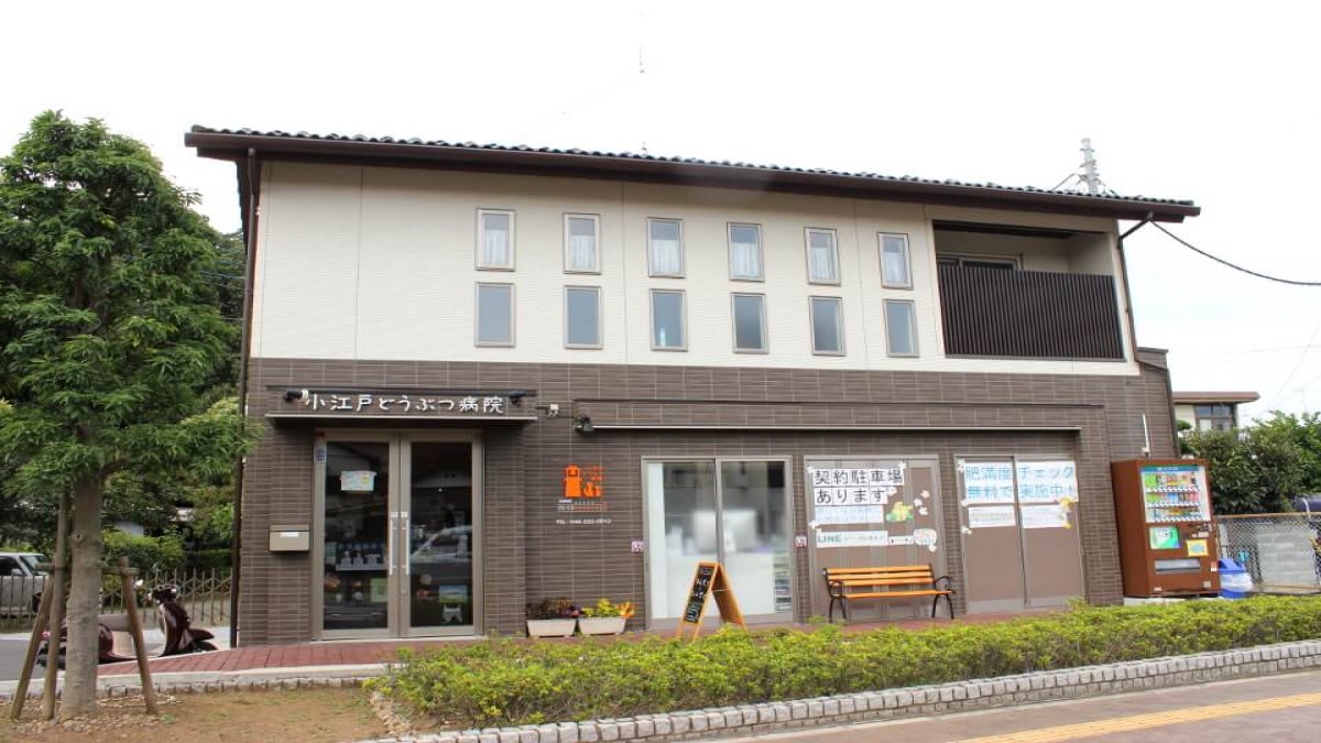 小江戸どうぶつ病院