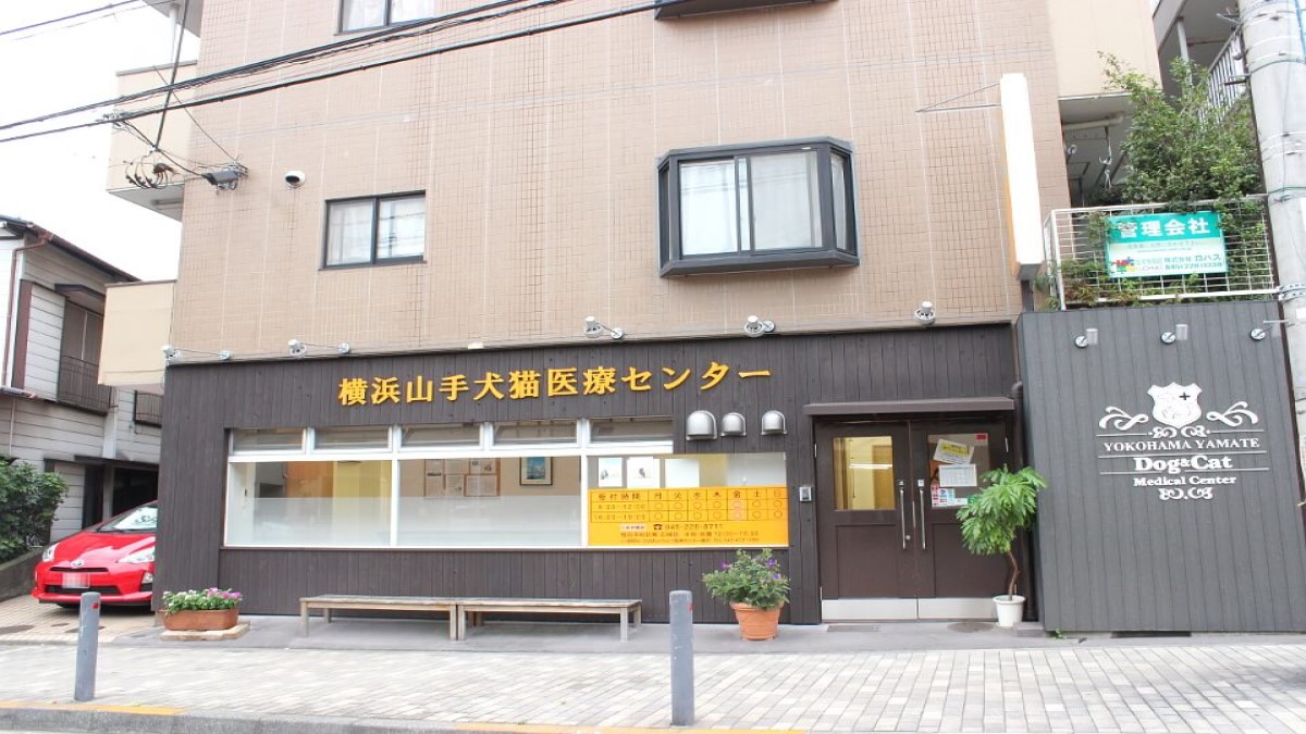 横浜山手犬猫医療センター