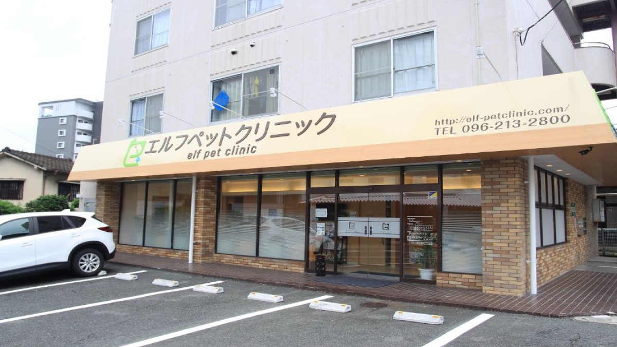 エルフペットクリニック