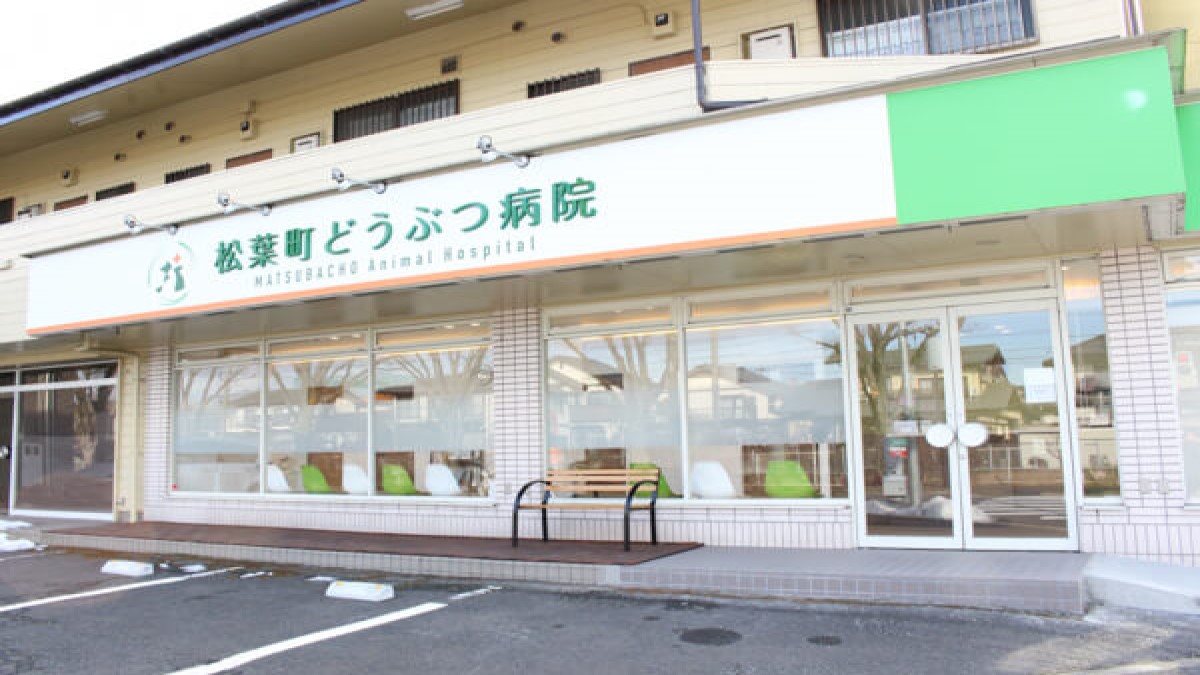 松葉町どうぶつ病院