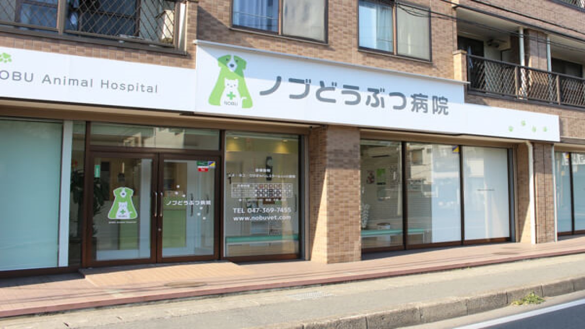 ノブどうぶつ病院