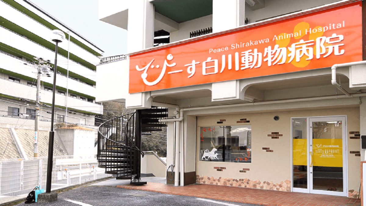 ぴーす白川動物病院