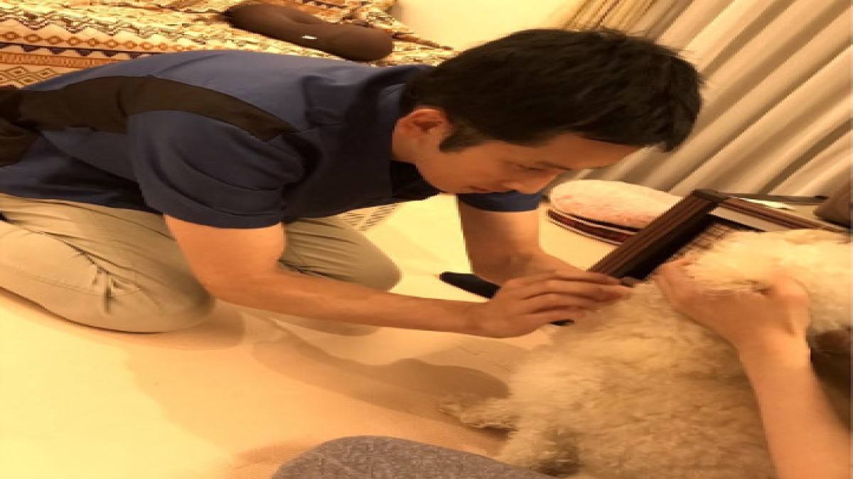 ホームズ動物往診所