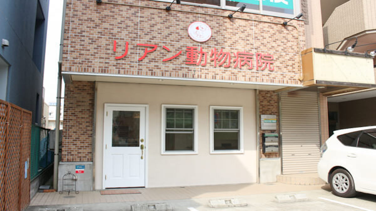 リアン動物病院