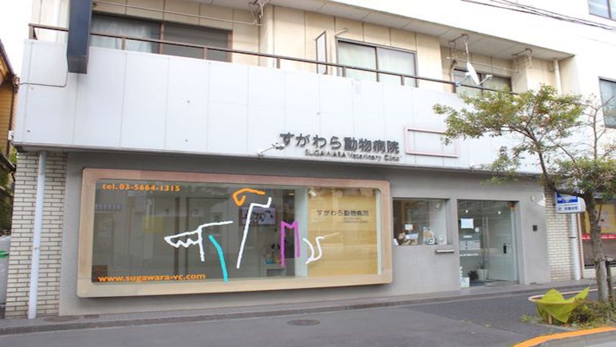 すがわら動物病院