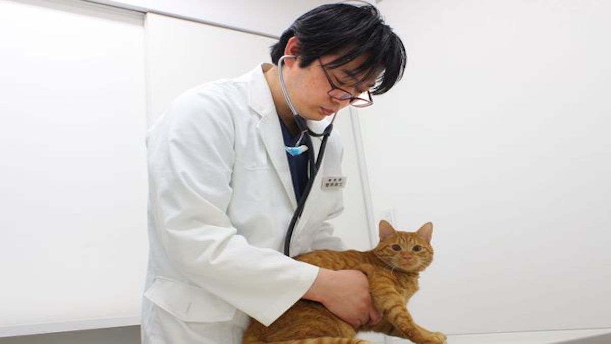 すがわら動物病院