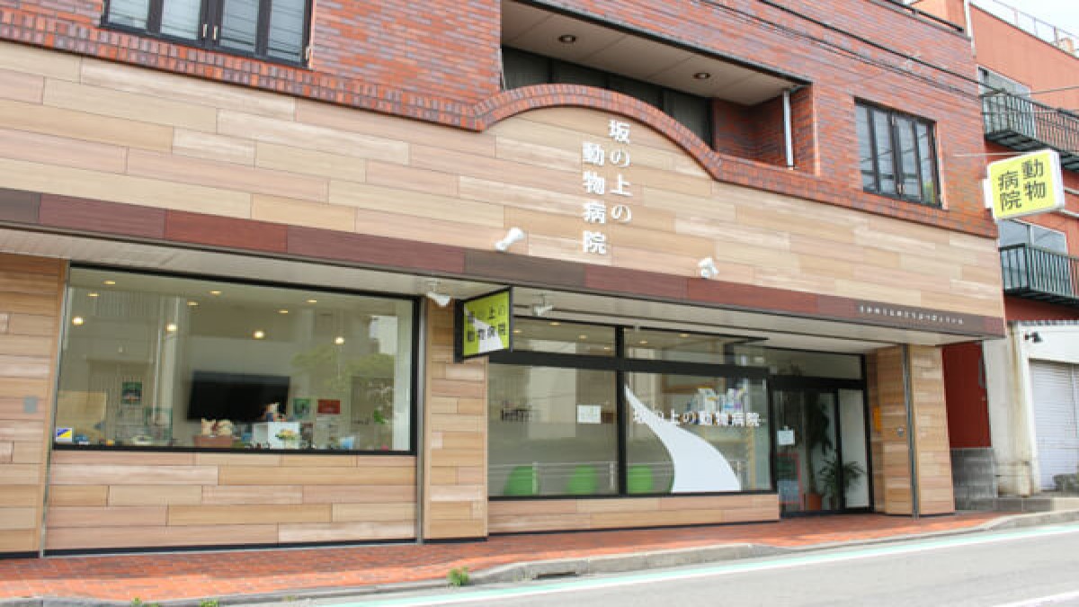 坂の上の動物病院