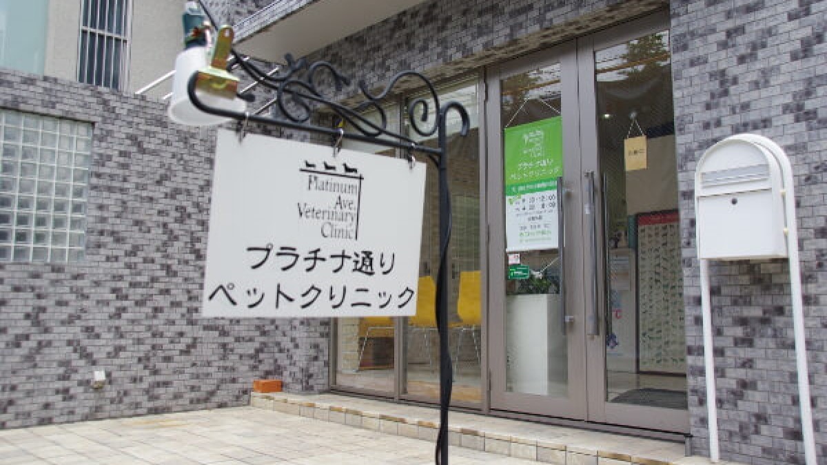 プラチナ通りペットクリニック