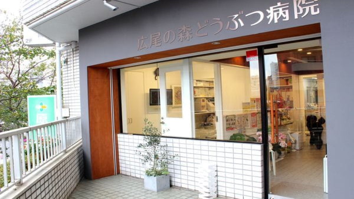 広尾の森どうぶつ病院