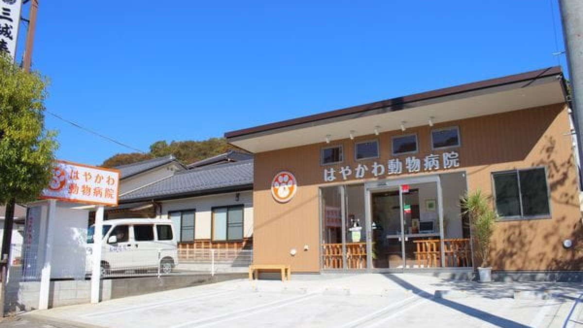はやかわ動物病院