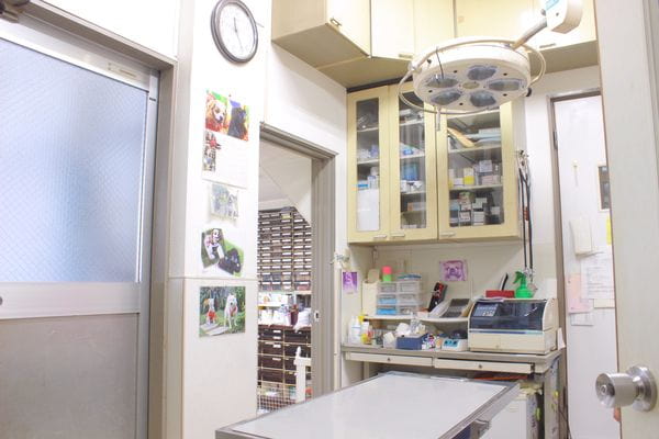 曽屋動物病院