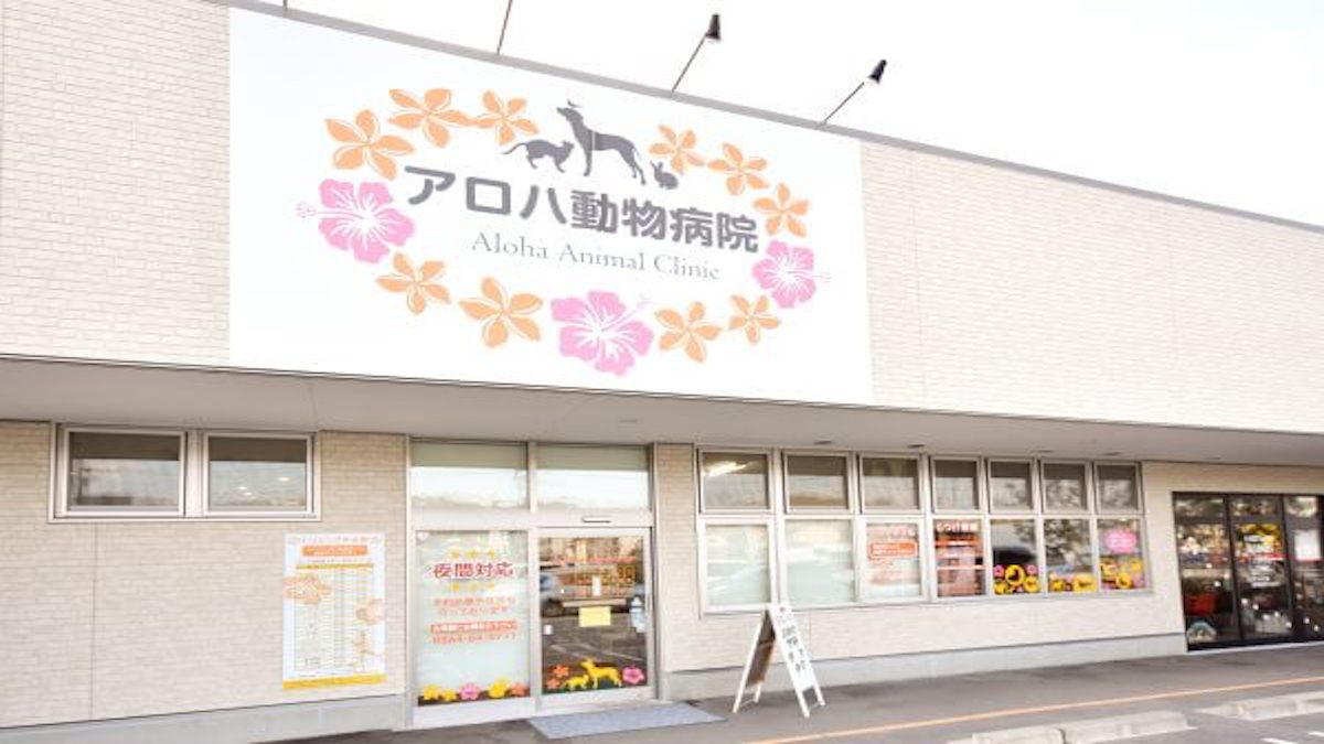アロハ動物病院
