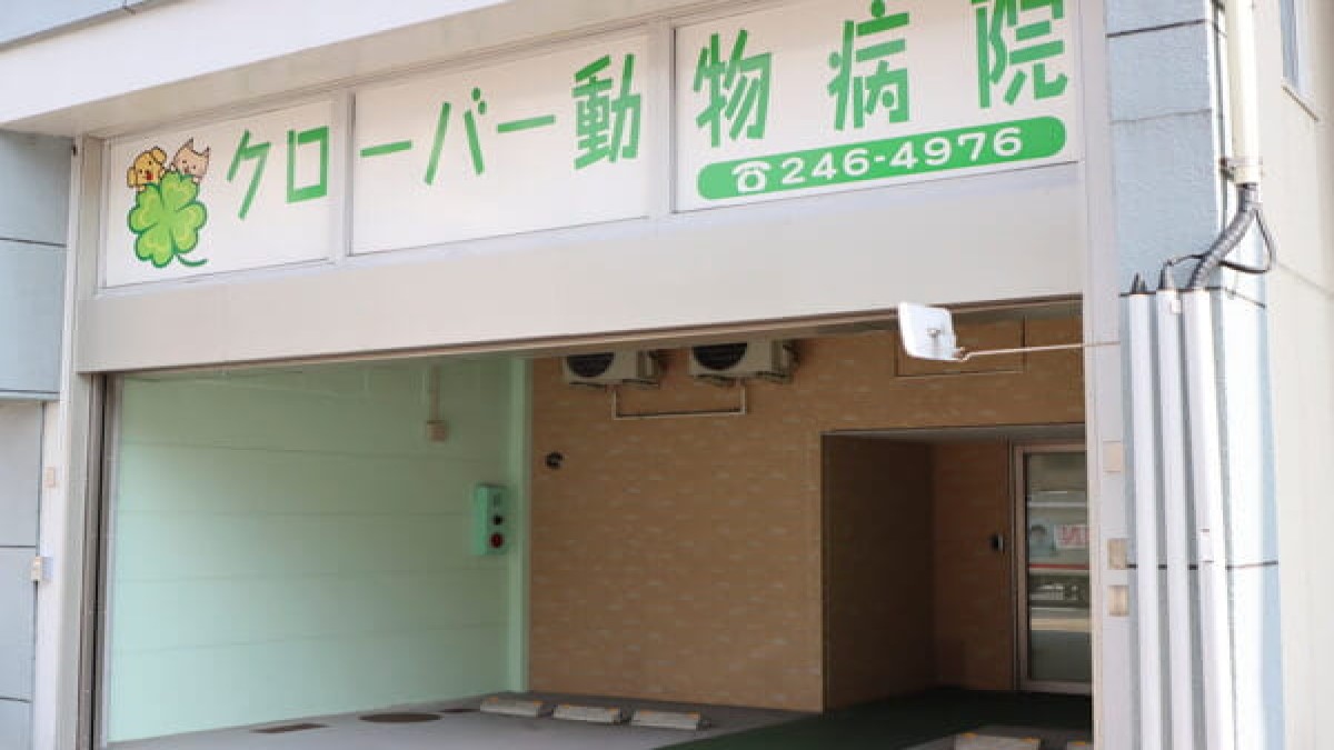 クローバー動物病院