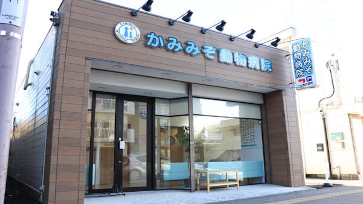かみみぞ動物病院