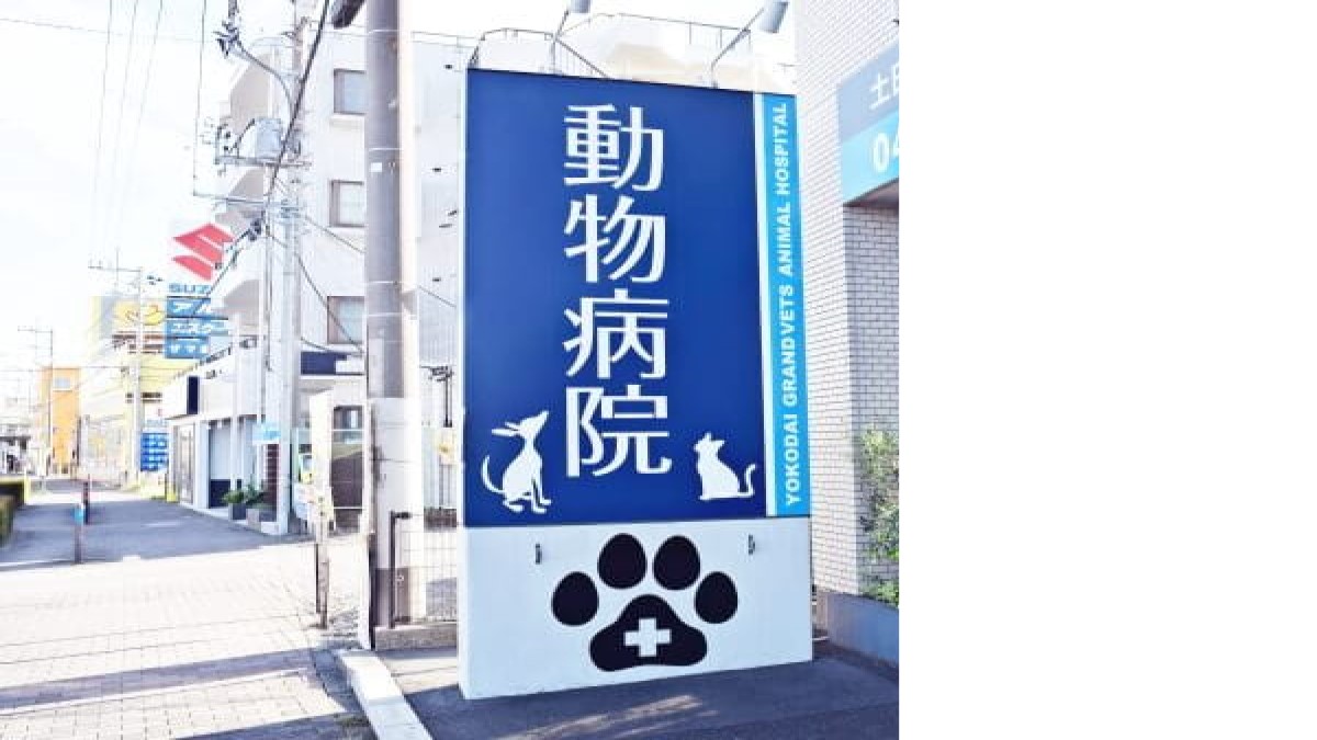 陽光台グランベッツ動物病院